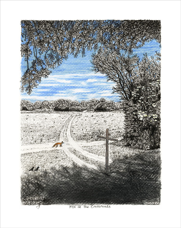 Fox at the Crossroads